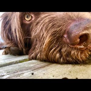 Meet your Posher, Alisa